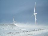 Global Wind Energy Insight: ,    